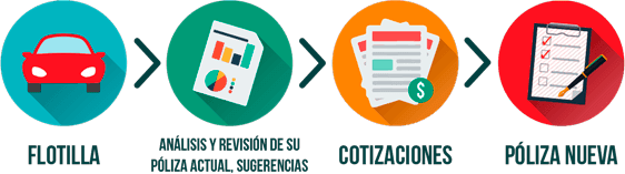 proceso, fianzas, seguro