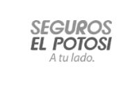 seguros potosi
