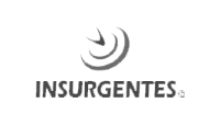 seguros insurgentes