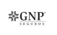 gnp y segurazos